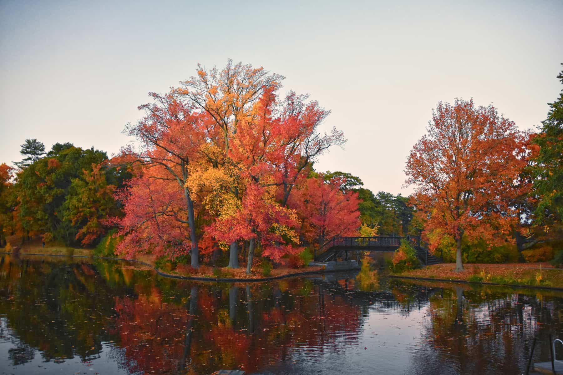 Autumn trees with vibrant leaves reflect in the calm waters of a lake in Rhode Island.